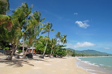 TEFL Course in Koh Samui